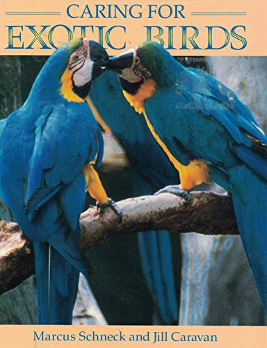 Caring for Exotic Birds