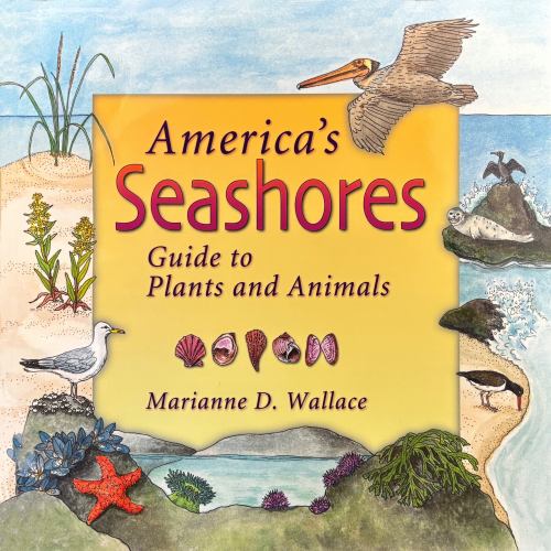 America's Seashores
