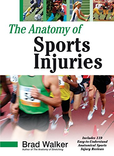 The Anatomy Of Sports Injuries