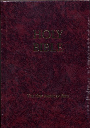 Fireside School & Church Bible-Nab