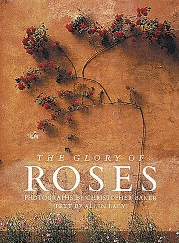 Glory of Roses