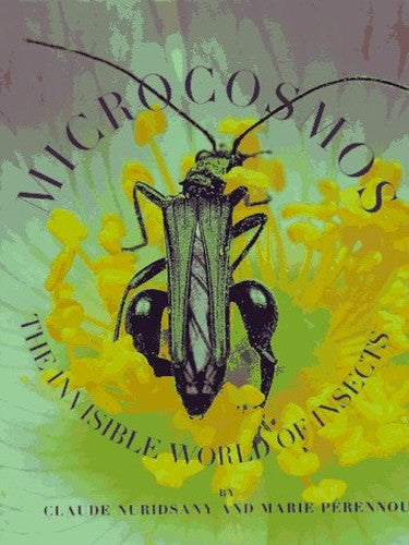 Microcosmos