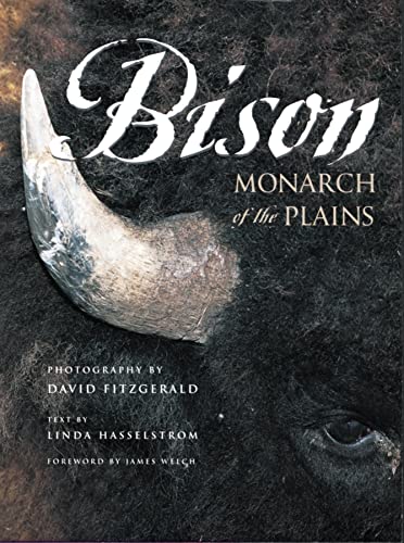 Bison
