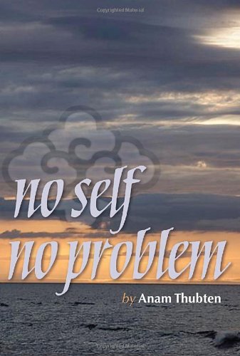 No Self No Problem