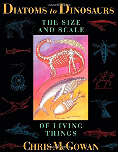 Diatoms to Dinosaurs
