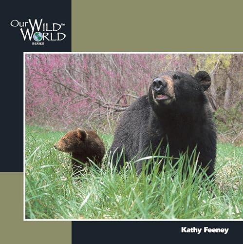 Black Bears