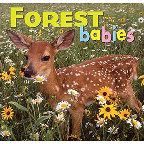 Forest Babies