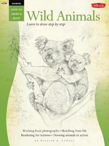 Drawing: Wild Animals