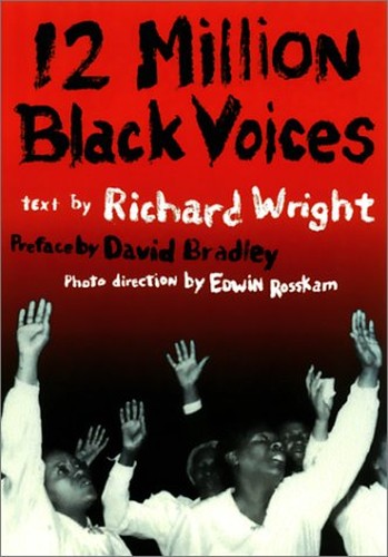 Twelve Million Black Voices