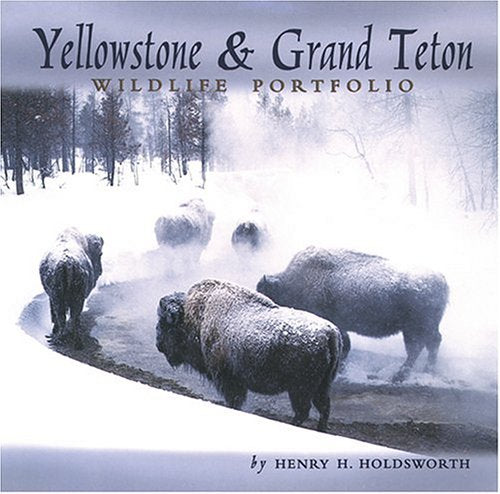 Yellowstone & Grand Teton Wildlife
