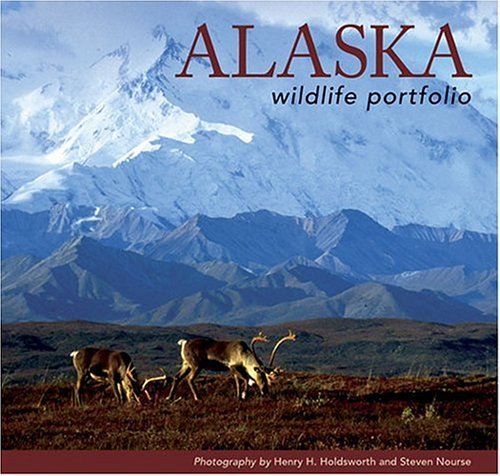 Alaska Wildlife Portfolio