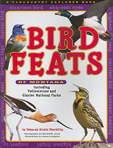 Bird Feats of Montana