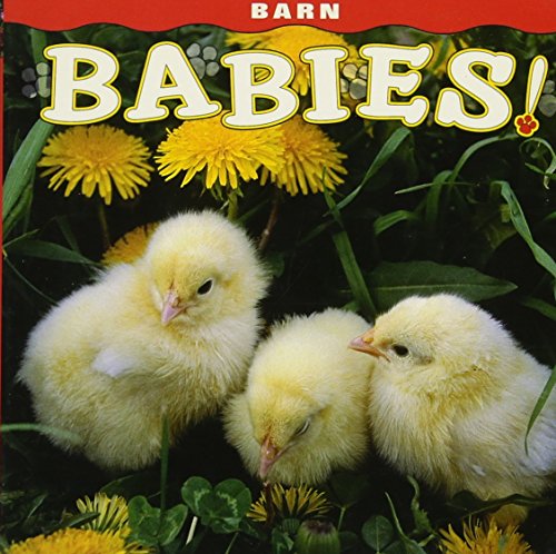 Barn Babies!