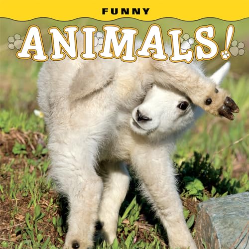 Funny Animals!