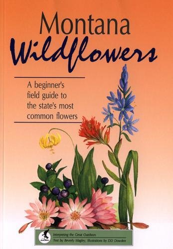 Montana Wildflowers