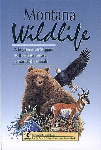 Montana Wildlife