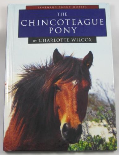 The Chincoteague Pony