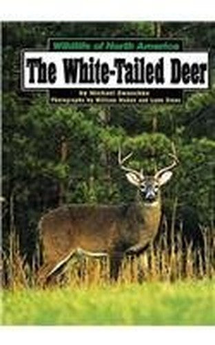 The White-Tailed Deer