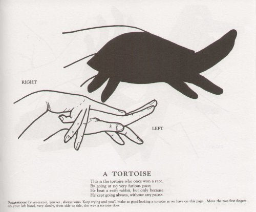 Shadowgraphs Anyone Can Make