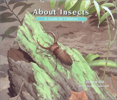 About Insects