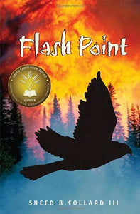 Flash Point 