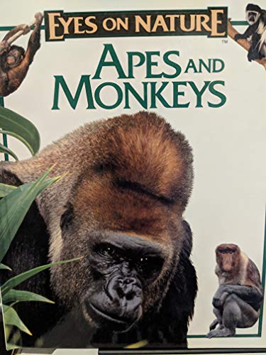 Title: Apes and monkeys Eyes on nature
