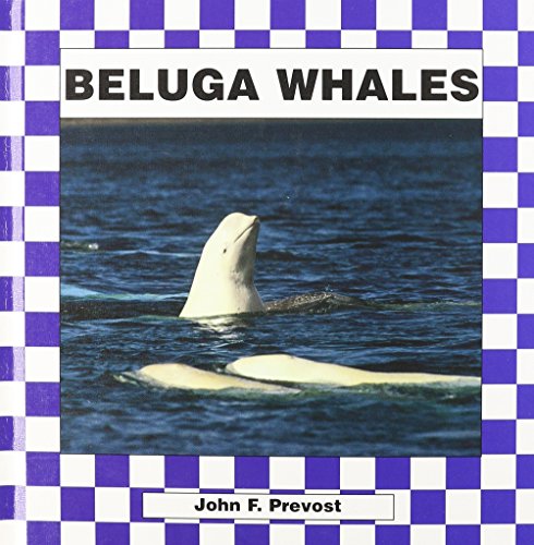 Beluga Whales