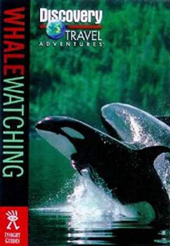 Whale Watching