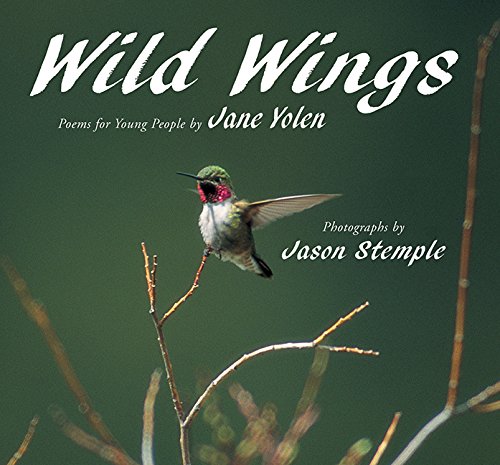 Wild Wings