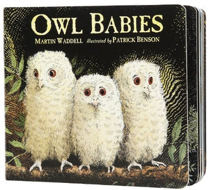 Owl Babies 