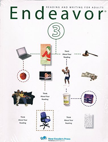 Endeavor 3