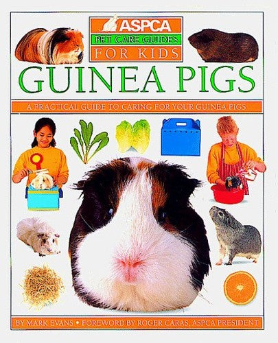 Guinea Pigs