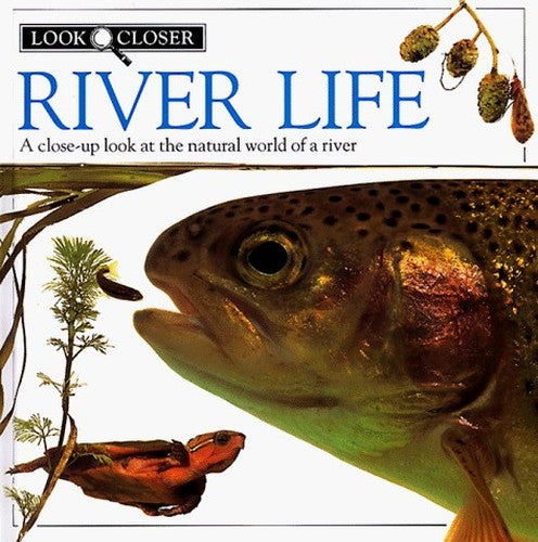 River Life