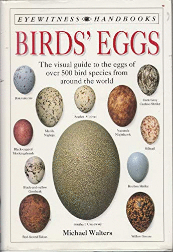 Birds Eggs