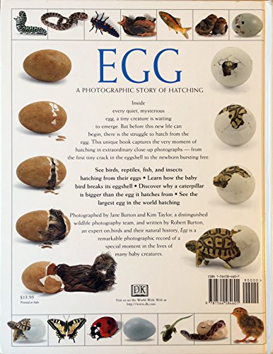 Egg