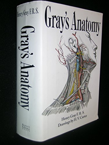 Anatomy