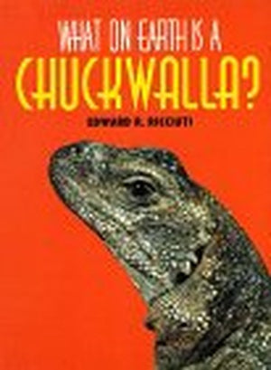 What on Earth is a Chuckwalla