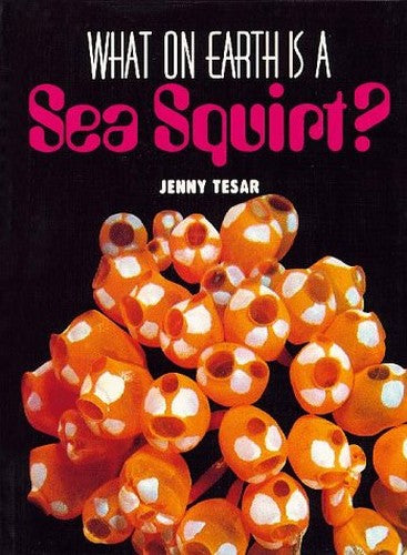 What on Earth is a Sea Squirt?