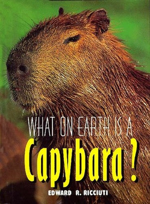 Capybara