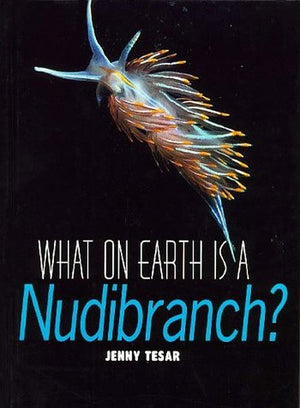 What on Earth is a Nudibranch?