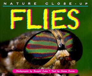 Flies