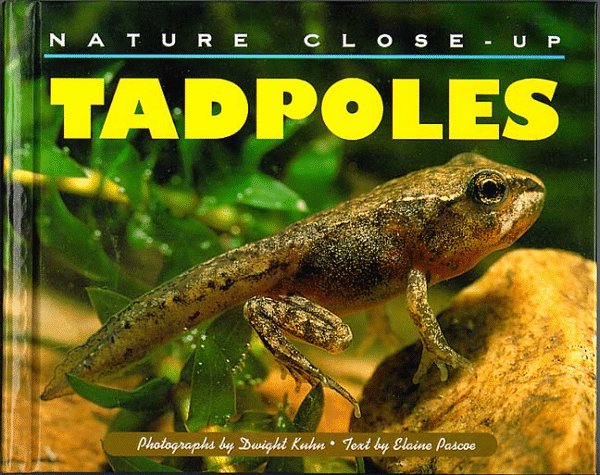 Tadpoles