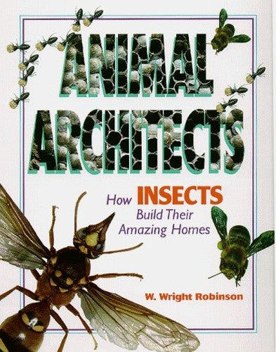 How Insects Build Their Amazing Homes