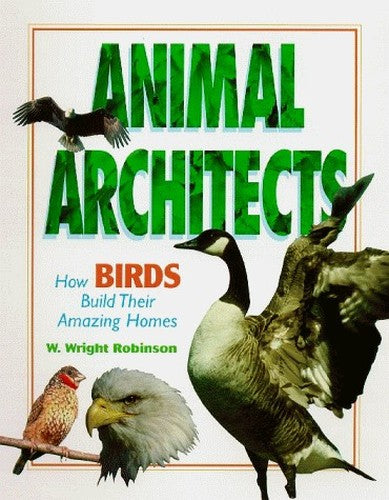 How Birds Build Their Amazing Homes
