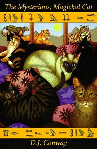 The Mysterious Magical Cat