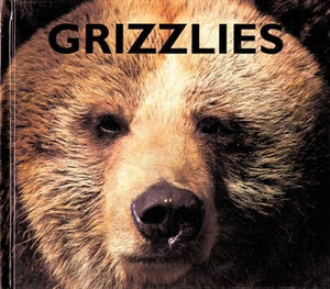 Grizzlies 