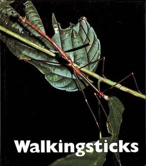Walkingsticks