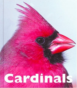 Cardinals 