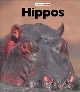 Hippos 