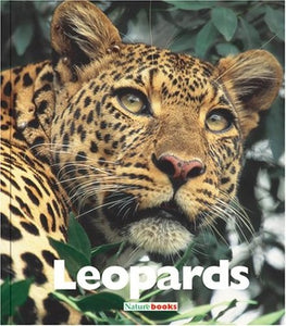 Leopards 